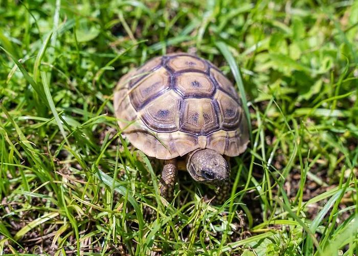 Apartamento Marieta Dubrovnik
